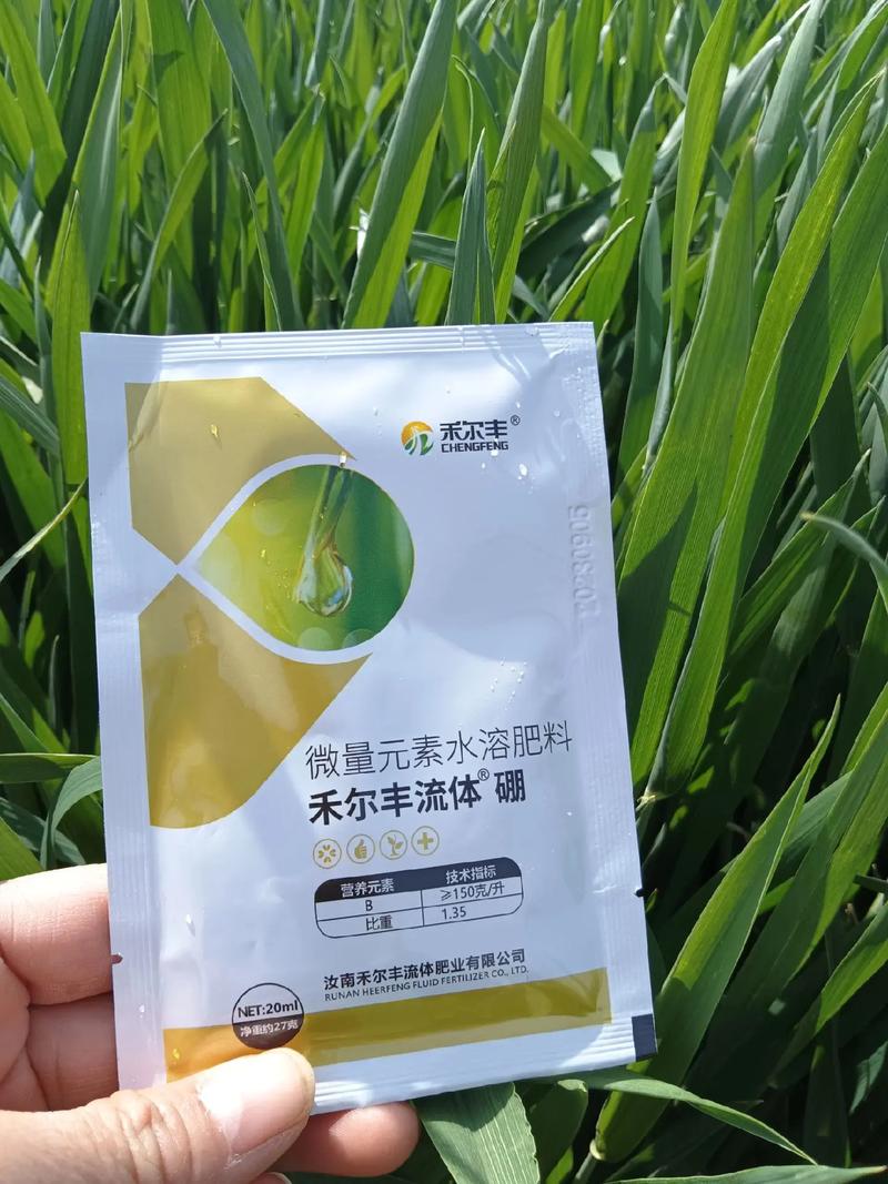 小麦叶面肥,生根壮苗,保花保果,抗病增产,营养控旺,增产增收