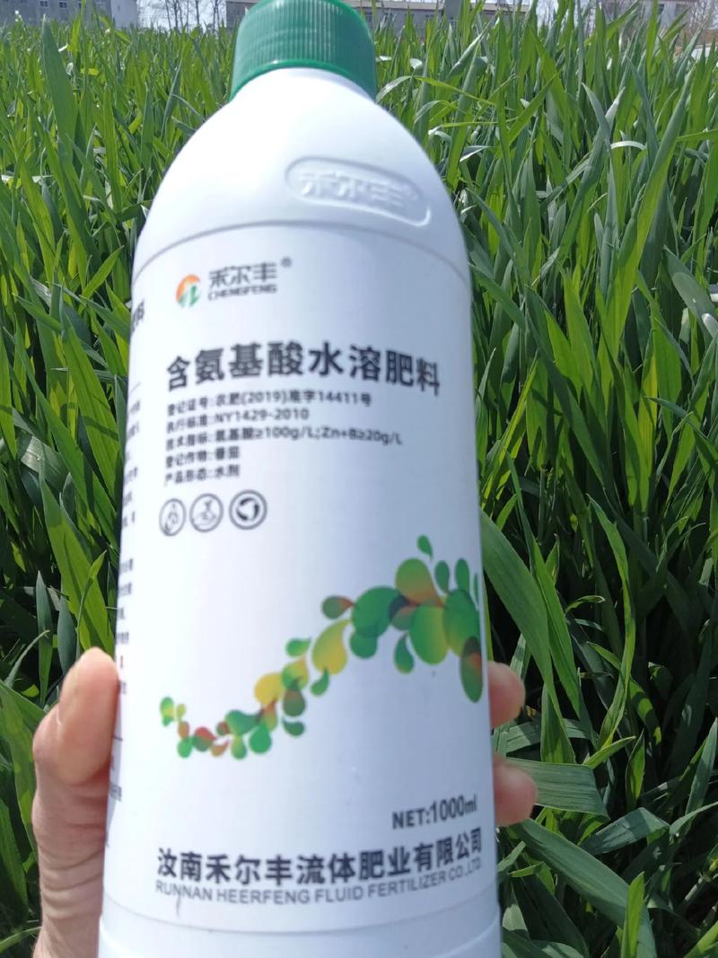 小麦叶面肥,生根壮苗,保花保果,抗病增产,营养控旺,增产增收
