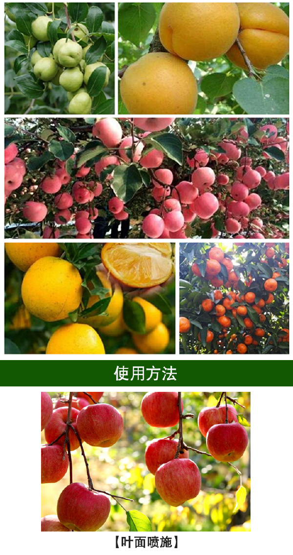 果树专用肥与叶面肥 保花保果、膨大增甜靓果全攻略